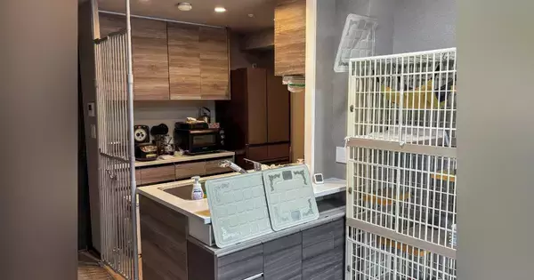 『猫が入れないキッチンにしたい』→完成した結果…劇的すぎるビフォーアフターが230万表示「料理屋ができたみたいｗ」「猫の様子に笑った」