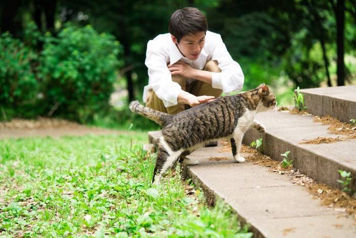 『猫を保護』した直後にやるべきこと3選　注意すべきポイントや必要な準備も解説