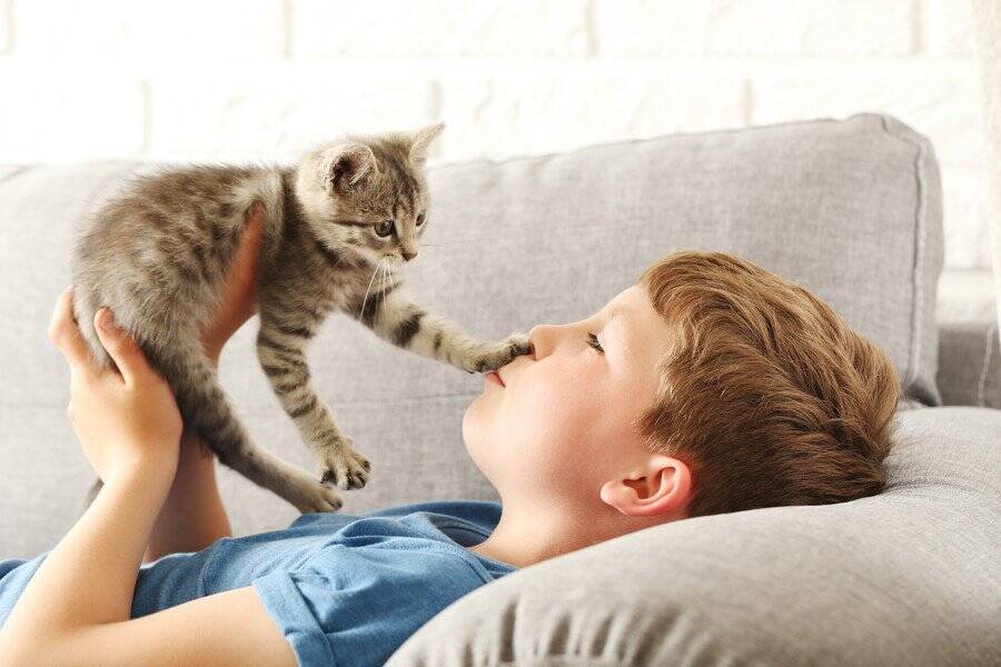 救助した「気性の荒い子猫」に消防士が一目ぼれ→そのまま自宅に迎えて「飼い主」になる　英国