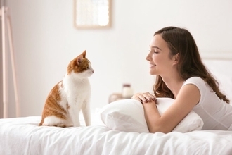 猫が必要としている『モーニングルーティン』5選　毎朝欠かせない行動が持つ意味も解説