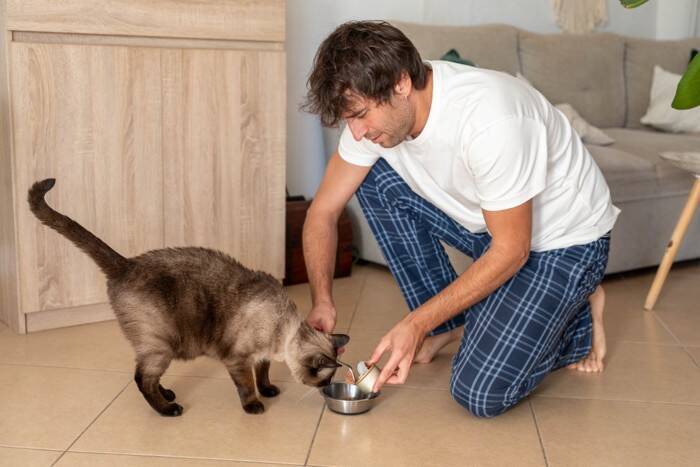 猫が必要としている『モーニングルーティン』5選　毎朝欠かせない行動が持つ意味も解説