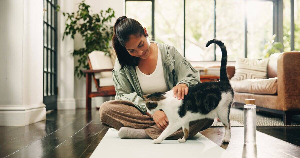猫が必要としている『モーニングルーティン』5選　毎朝欠かせない行動が持つ意味も解説