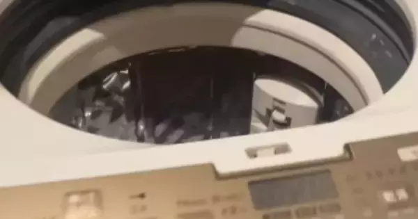 洗濯機に入った猫→飼い主が中を覗くと……ビックリしてしまう瞬間に15万いいね「本気を感じるｗ」「思わず叫んでしまったｗ」と話題に