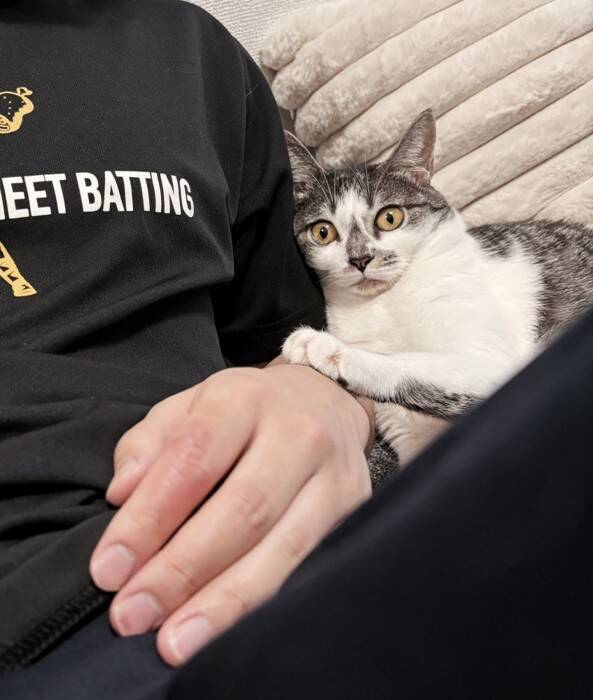 飼い主が『行ってくるね～』と言ったら、猫が……まさかのお見送りの様子が可愛すぎると154万表示「猛烈に可愛い」「一日頑張れるね」の声