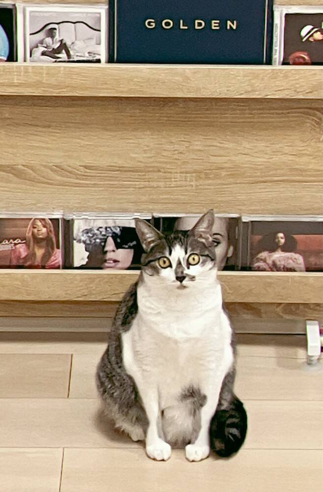 飼い主が『行ってくるね～』と言ったら、猫が……まさかのお見送りの様子が可愛すぎると154万表示「猛烈に可愛い」「一日頑張れるね」の声