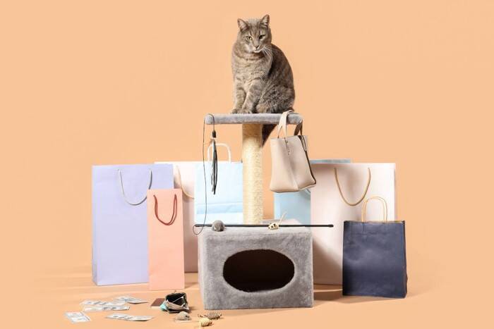 猫の飼い主さんが『できなくなること』6選　猫を迎える前に覚悟しておきたい変化とは