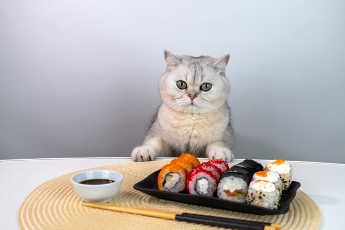 猫が口にすると危険な『調味料』3選　有害となる理由や誤飲したときの対処法