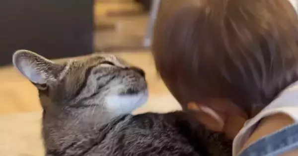 ソファでくつろぐ猫→『赤ちゃん』が顔を近づけて甘えてきた結果…『まさかの行動』が尊すぎると28万再生「本当に大人しい」「愛が深い」