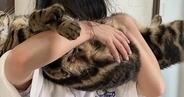 女の子に抱っこされて猫吸いされるキジトラ猫→『表情』をよく見ると…まさかの反応に「可愛すぎるｗ」「ちょっとしたアトラクションｗ」の声