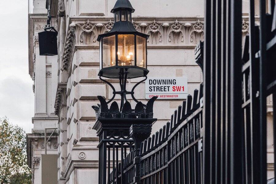 首相官邸のネズミ捕り主任　「15年間、活躍を続けるLarry」と、「その前任猫」　英国