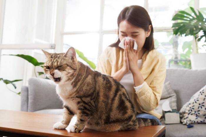猫がする『逆くしゃみ』ってなに？　放っておいて大丈夫？注意が必要なケースも