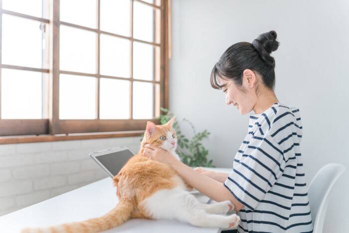 猫が急に『赤ちゃん返り』をする原因5つ　妙に甘えてくるのはなぜ？上手な対処法も解説