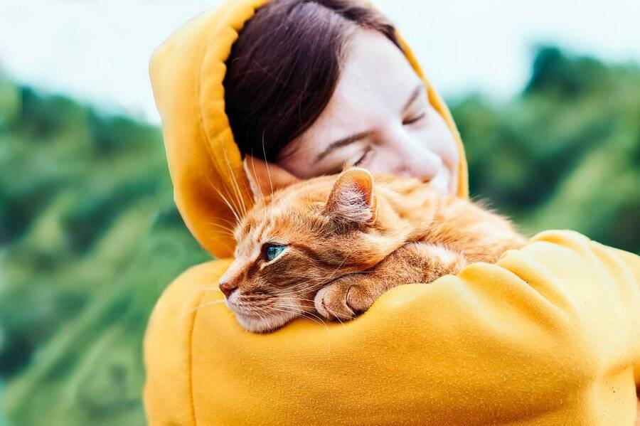 旅行中に空港で行方不明になった猫が、16日ぶりに発見され、無事に飼い主さんの元へ戻る　カナダ
