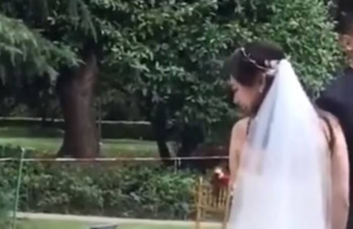 結婚式のサプライズゲストは可愛い『子猫』！みんなが笑顔になった、最高のハッピーエンドとは？