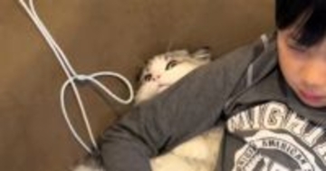 ゲームに夢中な男の子→猫の首に腕を乗せてしまった結果…『まさかの展開』が素敵すぎると252万再生「可愛すぎて無理ｗｗ」「愛を感じた」
