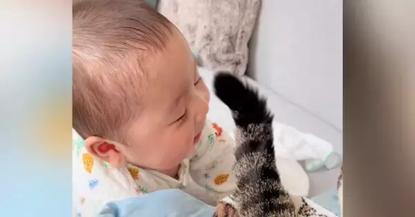 猫がしっぽを使って『赤ちゃん』と遊んだ結果…いつまでも眺めていたい『尊すぎる光景』が126万再生「タッチが優しい」「平和で涙が出る」