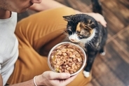 猫の『寿命を長くする食事』に必要な6つの条件　愛猫の健康を守るために心がけるべきこと