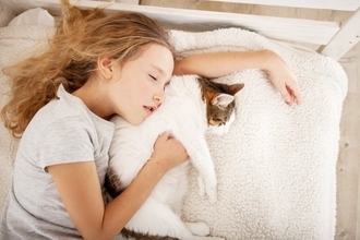 猫が『眠っている場所』から信頼度が読み取れる？　5つのケース別の意味や心理を解説