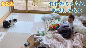 1年半ケージに引きこもっていた臆病な猫が赤ちゃんと…『驚きの光景』に感動が止まらないと7万再生「涙止まらず」「うるっときた」の声