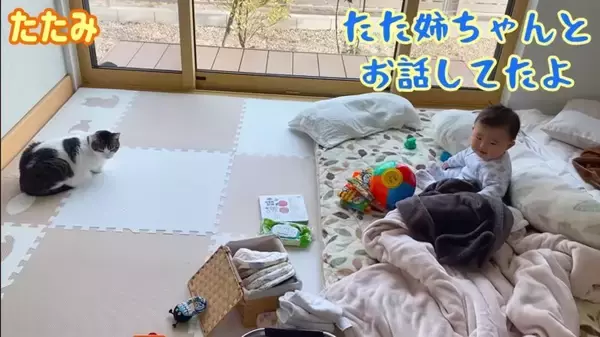 1年半ケージに引きこもっていた臆病な猫が赤ちゃんと…『驚きの光景』に感動が止まらないと7万再生「涙止まらず」「うるっときた」の声