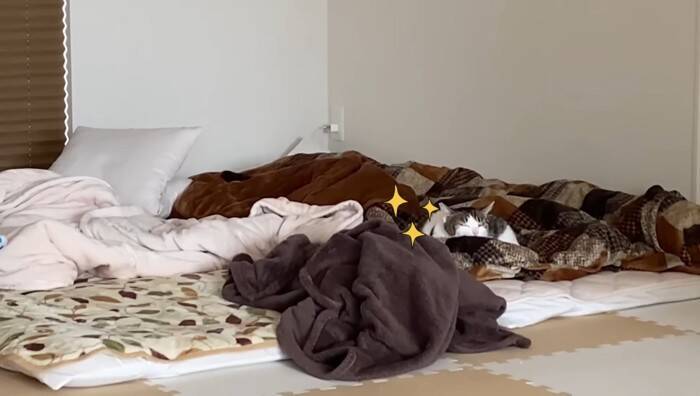 1年半ケージに引きこもっていた臆病な猫が赤ちゃんと…『驚きの光景』に感動が止まらないと7万再生「涙止まらず」「うるっときた」の声