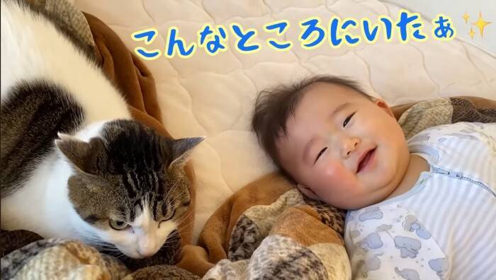 1年半ケージに引きこもっていた臆病な猫が赤ちゃんと…『驚きの光景』に感動が止まらないと7万再生「涙止まらず」「うるっときた」の声