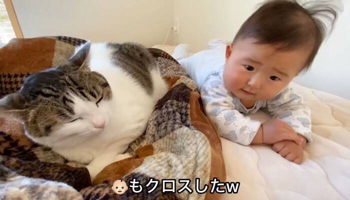 1年半ケージに引きこもっていた臆病な猫が赤ちゃんと…『驚きの光景』に感動が止まらないと7万再生「涙止まらず」「うるっときた」の声