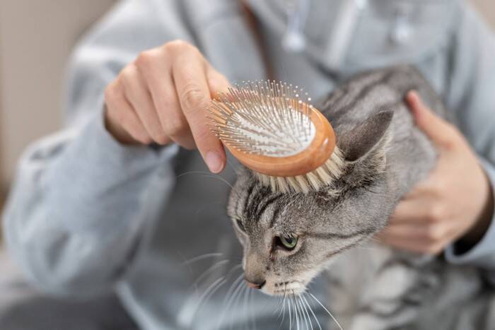 猫の『顔についた汚れ』が関わる病気4選　体に異常がある可能性も？