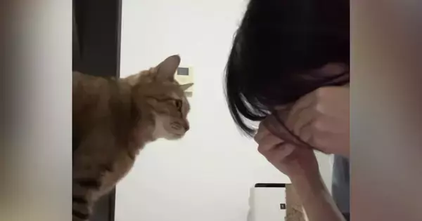 愛猫の前で『泣き真似』をしてみたら…思わず感動の『尊すぎる展開』が31万再生「なんて優しい子」「イケメンすぎる」と話題に