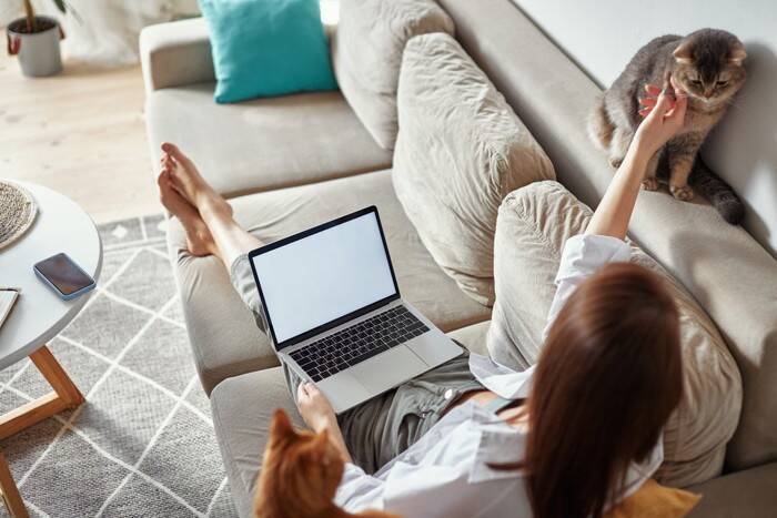 猫がいる暮らしでの『在宅ワーク』注意すべきこと3つ　実は愛猫にストレスを与えているかも？