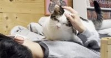 お兄ちゃんがしばらく『猫部屋』で寝ることに→猫たちが『大歓迎』して…羨ましすぎる光景が15万再生「あまりにも可愛いｗ」「重そうｗ」