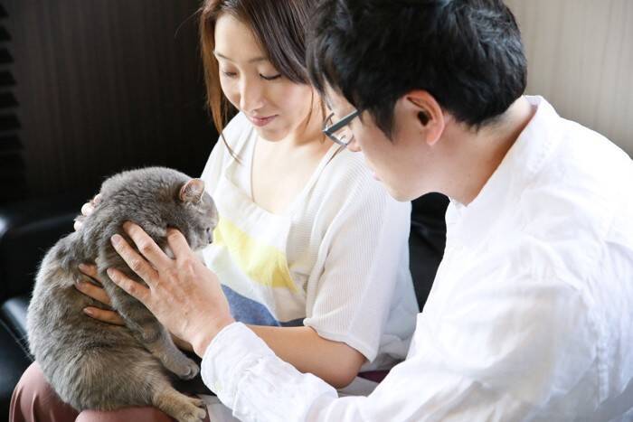 猫を連れて『動物病院』を受診するときのマナー3つ　飼い主が注意すべきこととは