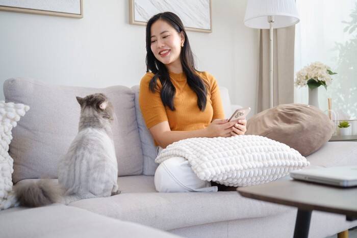 猫があなたに向けて『話しかけてくる』理由3つ　鳴き方による違いや応え方のポイントまで