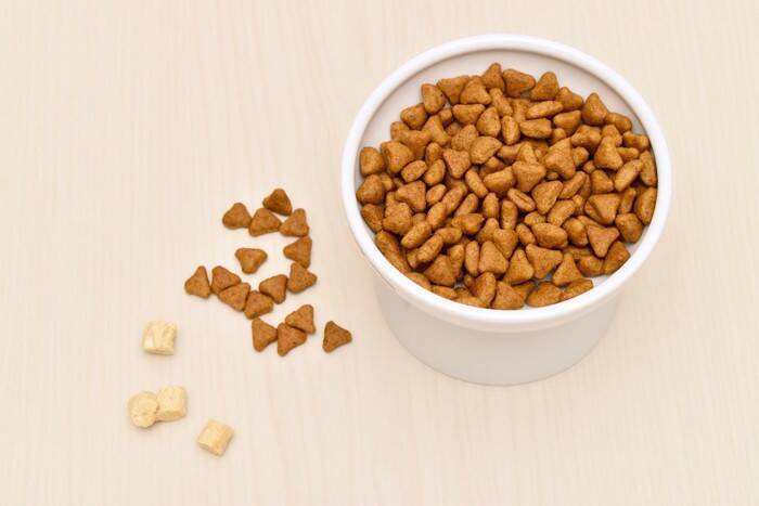 猫に『酸化したキャットフード』を与えるリスク4つ　安全を保つための適切な保存法まで