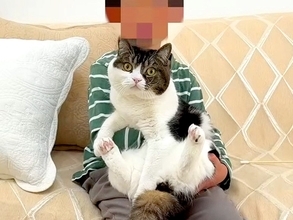 生まれて初めてネコとふれあう男の子→念願の『抱っこ』に挑戦してみると……『素敵な光景』に「良い経験」「胸を打たれた」と絶賛の声