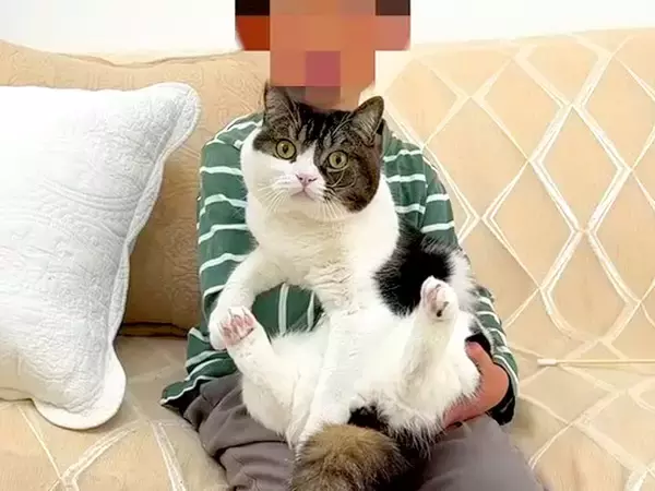 生まれて初めてネコとふれあう男の子→念願の『抱っこ』に挑戦してみると……『素敵な光景』に「良い経験」「胸を打たれた」と絶賛の声