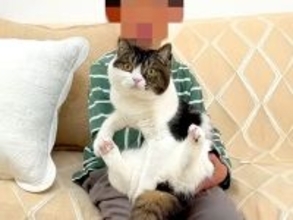 生まれて初めてネコとふれあう男の子→念願の『抱っこ』に挑戦してみると……『素敵な光景』に「良い経験」「胸を打たれた」と絶賛の声