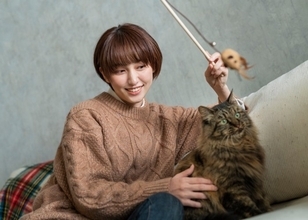 猫が『おもちゃに興味を示さなくなった』ときの理由5つ　遊ばなくなるのはなぜ？夢中にさせるコツまで
