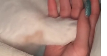 毛布をかけてもらった猫→飼い主と手をつないで…愛おしい光景に「可愛すぎて泣きそう」「癒やしのお裾分けありがとう」と16万再生