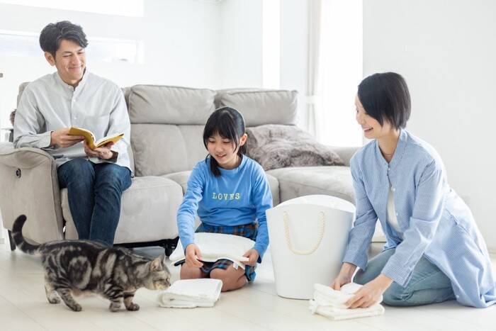 猫が『洗濯物に乗ろうとする』ときの理由4選　くつろぎたがる心理から対策術まで