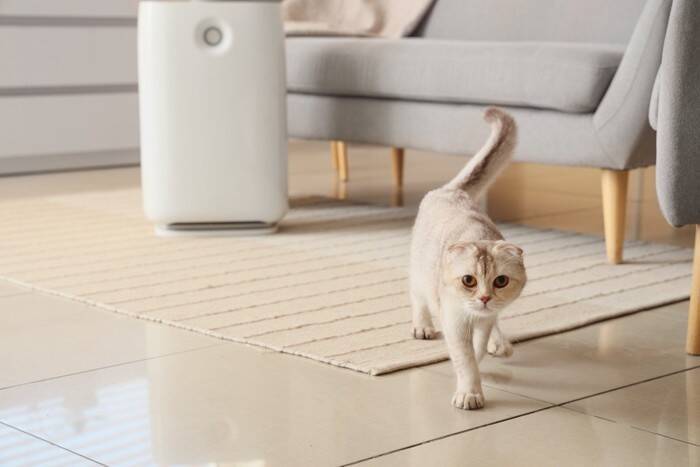 愛猫の『幸福度』を確かめる5つのポイント　幸せを感じている猫が見せるサインとは？