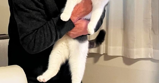 『猫が大嫌い』で『断固拒否』していたおじいちゃん→約１年後……『信じられない光景』に６万いいね「猫の顔よｗｗ」「温度差がたまらないｗ」