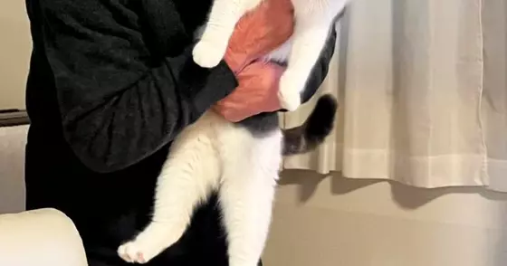 『猫が大嫌い』で『断固拒否』していたおじいちゃん→約１年後……『信じられない光景』に６万いいね「猫の顔よｗｗ」「温度差がたまらないｗ」