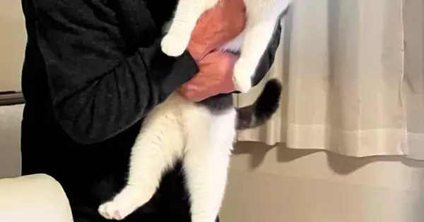 『猫が大嫌い』で『断固拒否』していたおじいちゃん→約１年後……『信じられない光景』に６万いいね「猫の顔よｗｗ」「温度差がたまらないｗ」