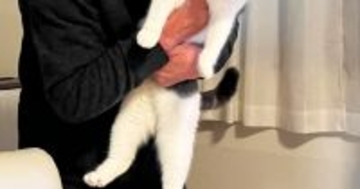 『猫が大嫌い』で『断固拒否』していたおじいちゃん→約１年後……『信じられない光景』に６万いいね「猫の顔よｗｗ」「温度差がたまらないｗ」