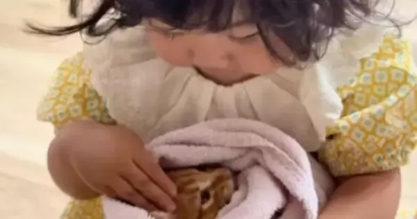 保護子猫を抱っこする『2歳の女の子』、まるで小さなお母さんのようで…尊すぎる光景に「心が洗われた」「何度も見てしまった」と80万再生