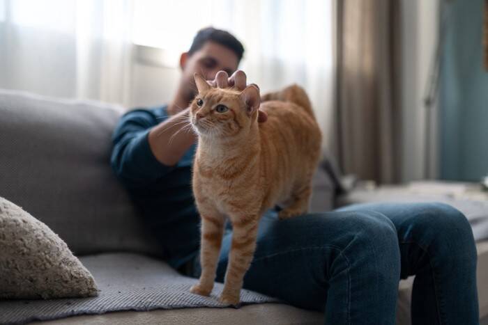 猫との暮らしで起こりうる『思わぬ事故』5選　油断できないリスクから予防策までご紹介