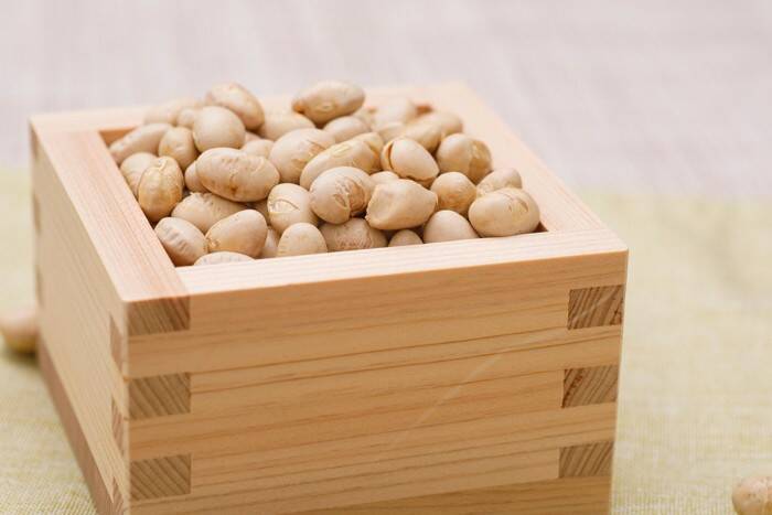 猫が『節分の豆』を食べるのは危険？楽しく安全に過ごすための工夫や注意点