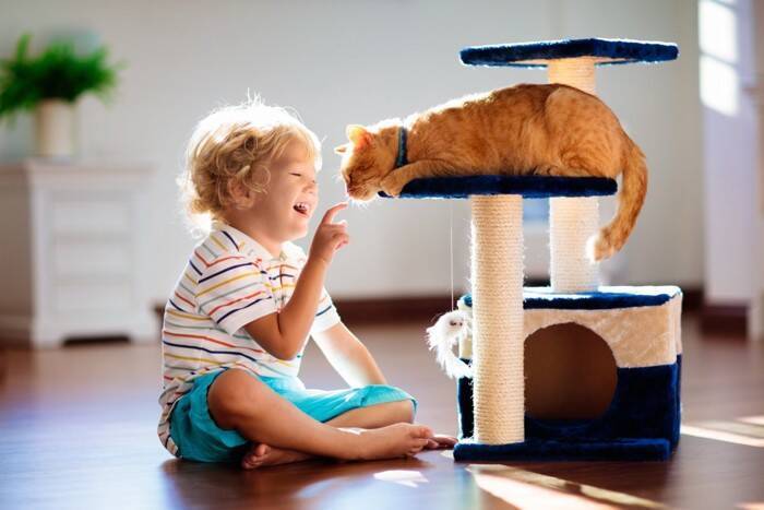 猫が『身代わり』になって飼い主を救ったエピソード4選　偶然とは思えない不思議な逸話とは