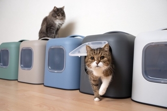 猫が『絶対に譲れない』と思っているこだわり4選　行動の意味や尊重してあげるべき理由も